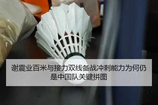 谢震业百米与接力双线备战冲刺能力为何仍是中国队关键拼图