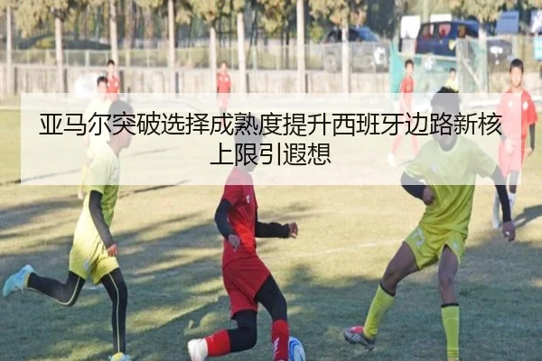 ya-ma-er-tu-po-xuan-ze-cheng-shu-du-ti-sheng-xi-ban-ya-bian-lu-xin-he-shang-xian-yin-xia-xiang-2-894.jpg